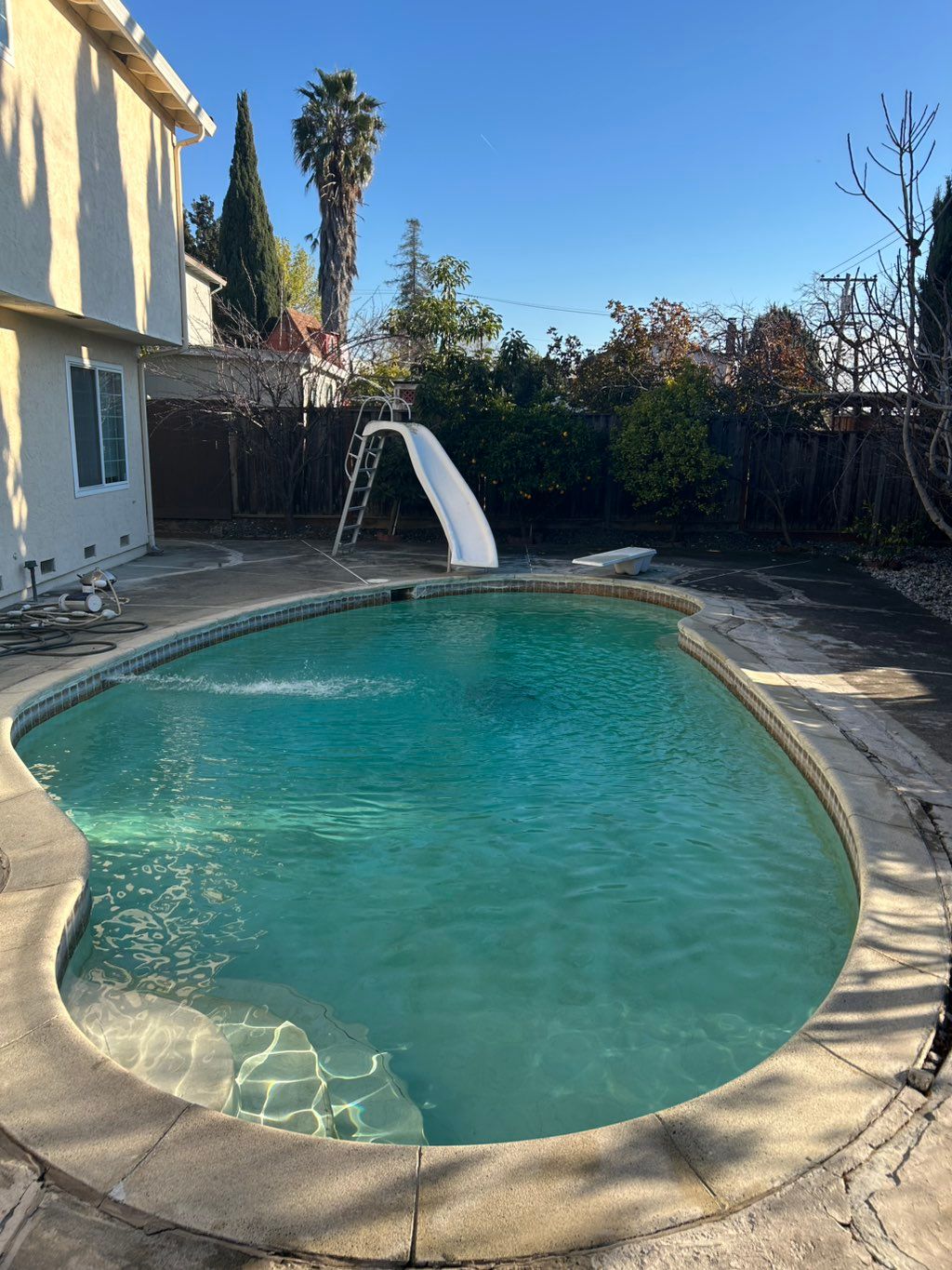 Turtle Bay Pool & Spa | Campbell, CA | Thumbtack