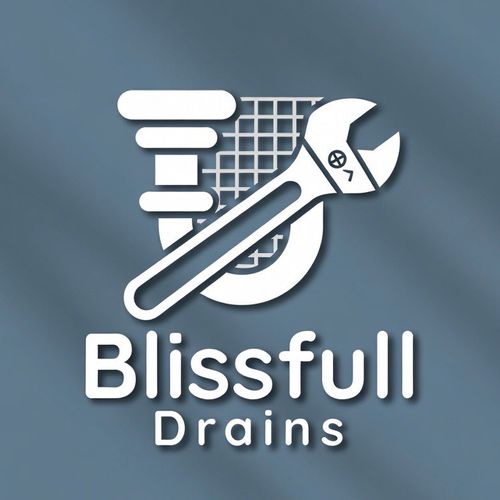 Blissful Draining LLC