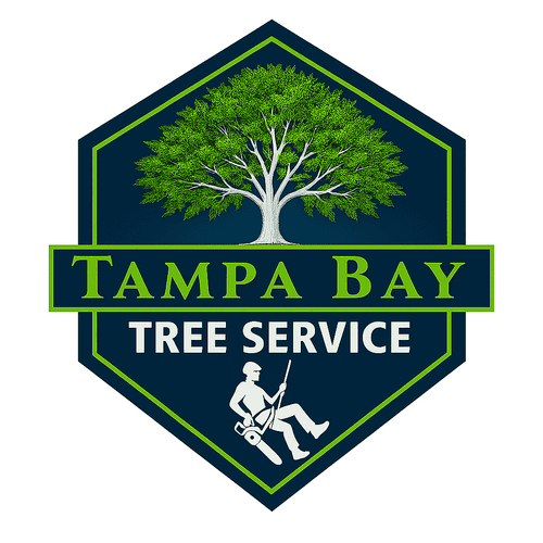 Tampa Bay Tree Service