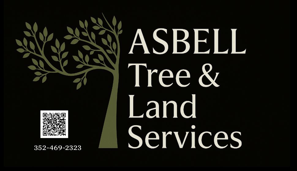 The 10 Best Tree Trimming Services in Gainesville, FL 2026