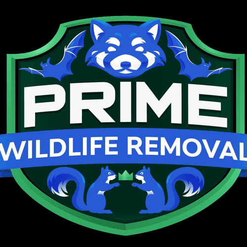 Prime Wildlife Removal