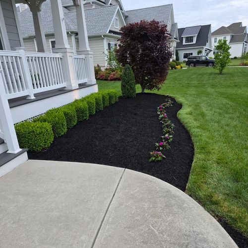 B&F landscaping services