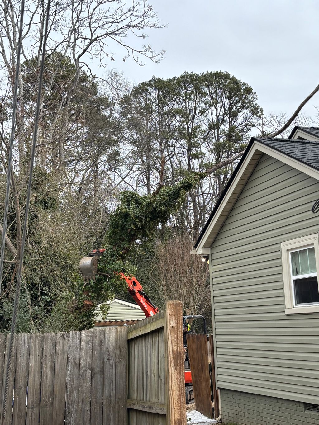 Lawns Etc - Tree Trimming and Removal in Landrum, SC | Thumbtack