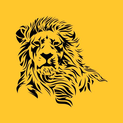 Black Lion Heating, Air Conditioning & Electrical