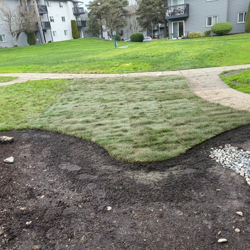Personal Lawn Care *Serious Inquiries Please*