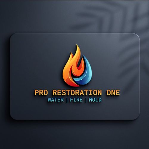 Pro Restoration One