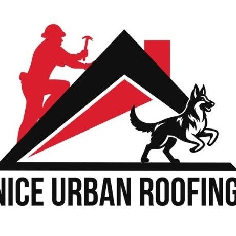 Nice Urban Roofing