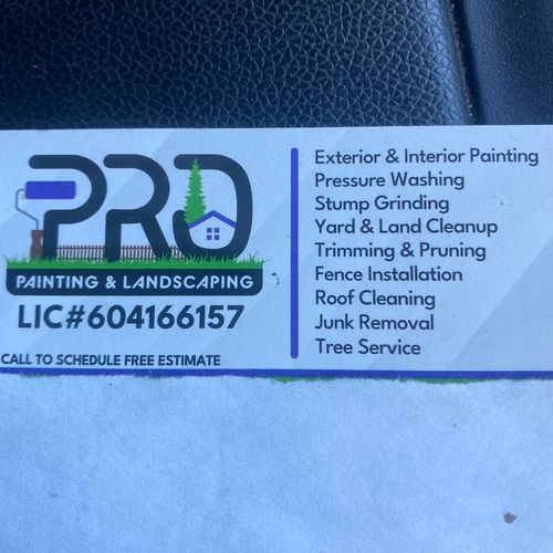 PRO  Painting & landscaping