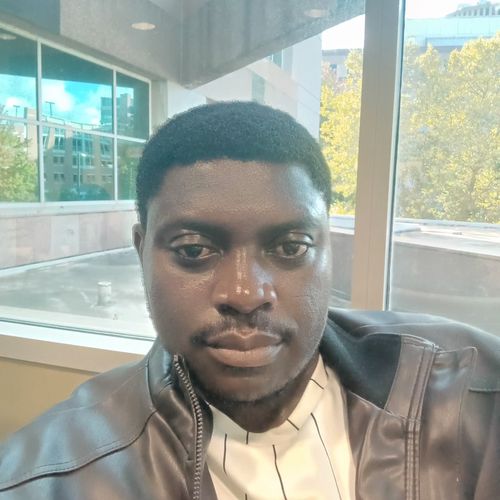 BONGABI AND SONS CARGO SERVICES LLC