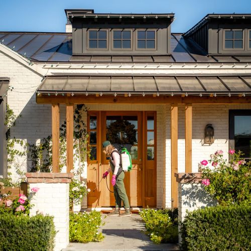 Peppermint Pest Control