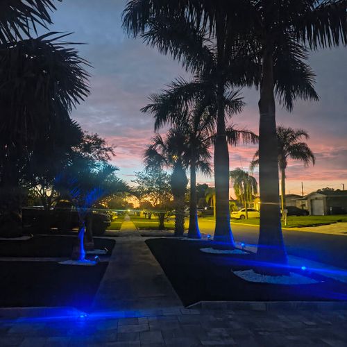 Advanced Arbor professional tree care