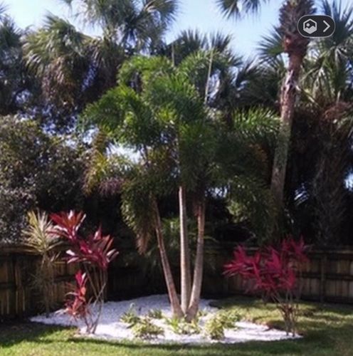 Top to Bottom Service