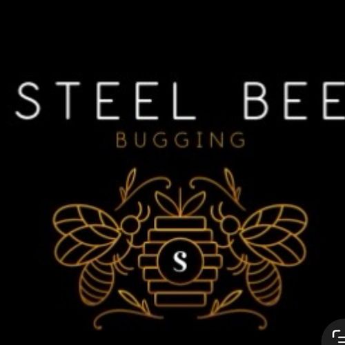 Steel Bee Bugging
