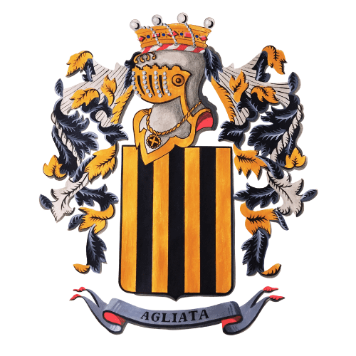 Mostly Classical Performing Arts Studio