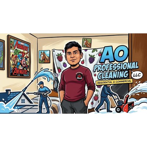 AO PROFESSIONAL CLEANING LLC