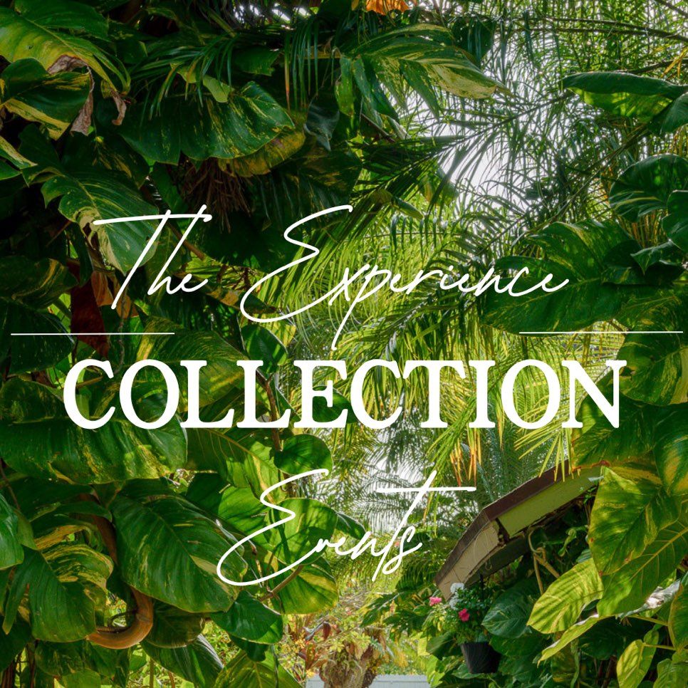 The Experience Collection Events | Miami, FL | Thumbtack