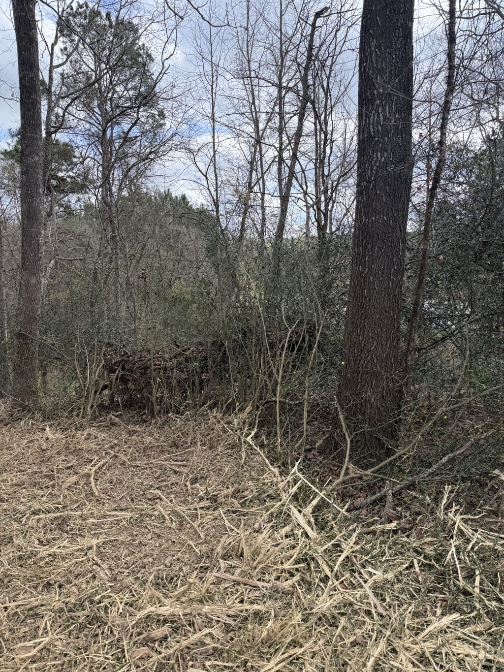 Get-R-Done Land Clearing And Dirt Work | Nacogdoches, TX