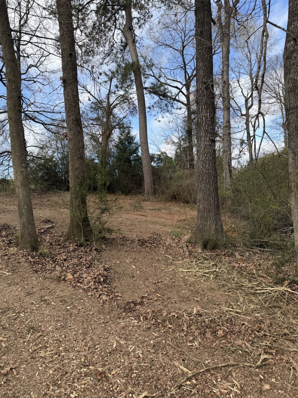 Get-R-Done Land Clearing And Dirt Work | Nacogdoches, TX