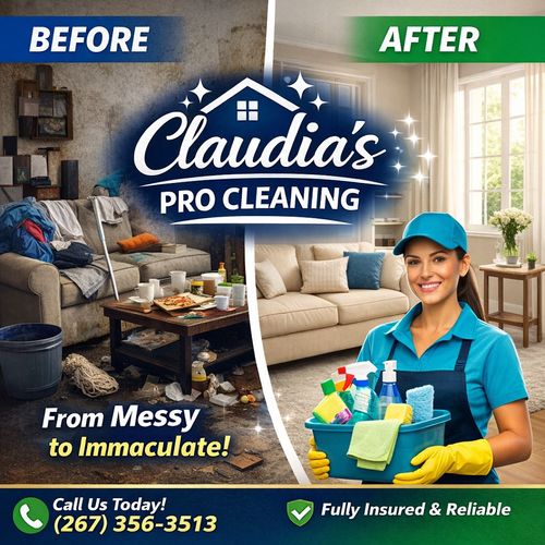 Claudia’s pro cleaning