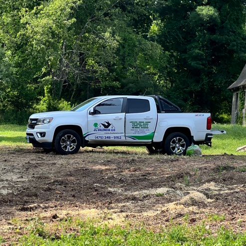 JL Valencia tree service & Power washing