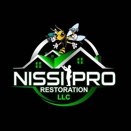 NISSI PRO RESTORATION LLC