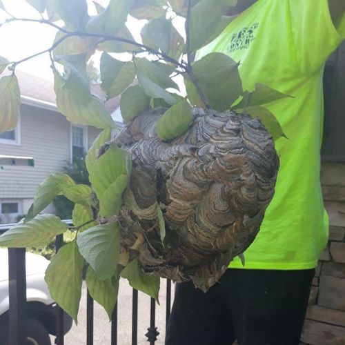 Creative Home Services, LLC