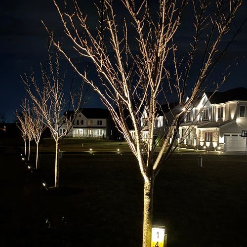 LIGHT GREEN LANDSCAPES & IRRIGATION LLC