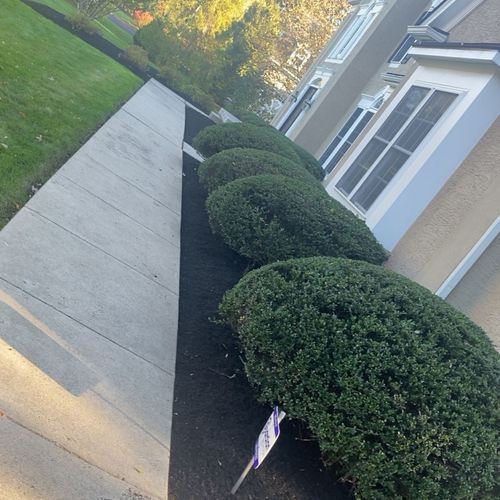 H&T trigueros landscaping and lawn care