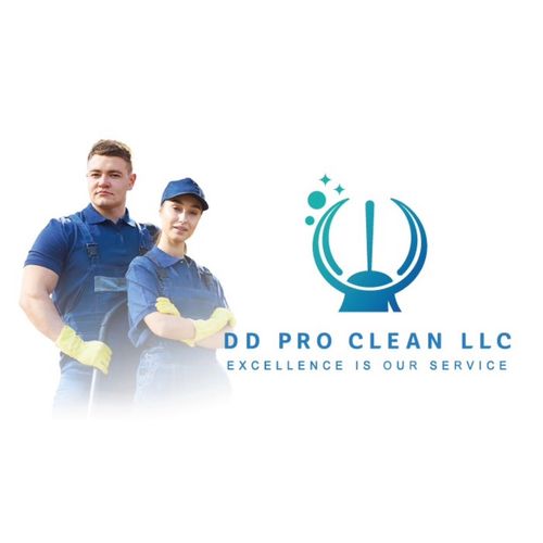 DD PRO CLEAN LLC