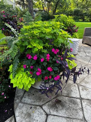 Catalina Gardens - Gardening in Saint Paul, MN | Thumbtack