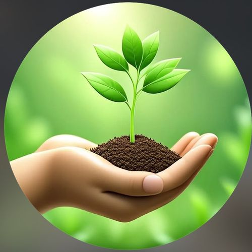 NEW LIFE SERVICES LLC