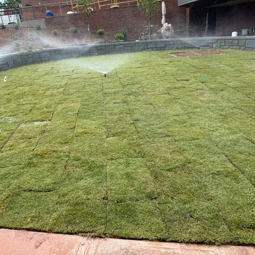 Pedro (Rosas Landscaping