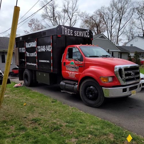 Blackwood Tree Service