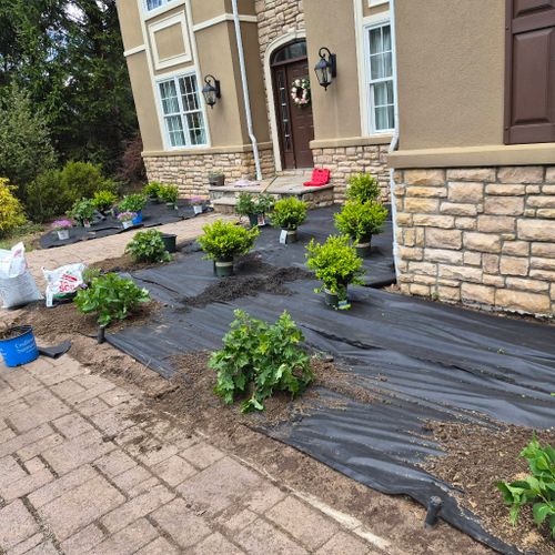 landscaping & maintenance