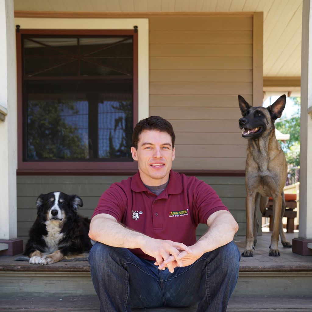 Bark Busters Dog Training Fairfax Burke & Manassas | Fairfax, VA